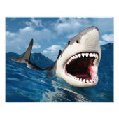 Great White Shark Foto Afdruk (Voorkant)