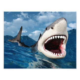 Great White Shark Foto Afdruk