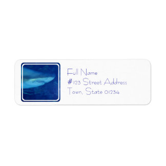 Great White Shark Mailing Label