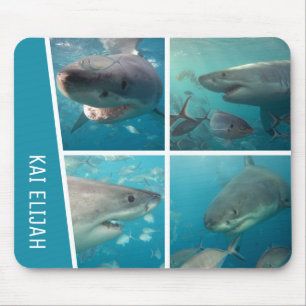 Great White Shark Ocean Australia Photo Collage Muismat