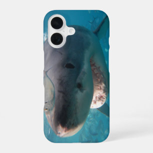 Great White Shark Smile Teeth Portret Australië iPhone 16 Hoesje