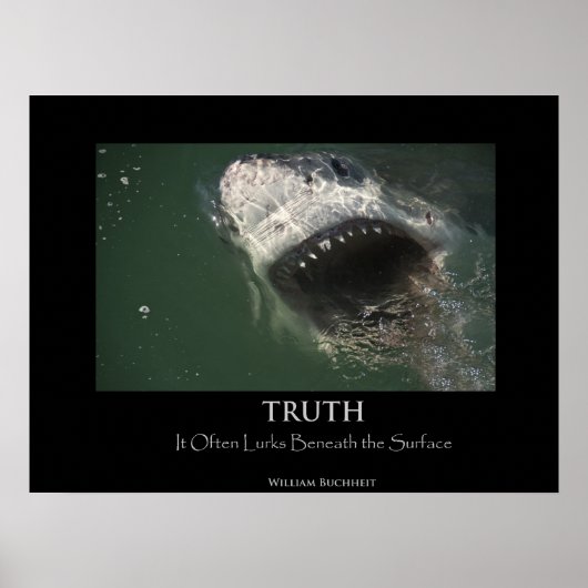 Great White Shark "Truth" Poster (Voorkant)