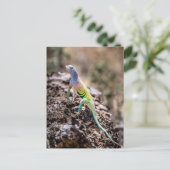 Greater Earless Lizard Briefkaart (Staand voorkant)