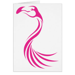 Greater Flamingo