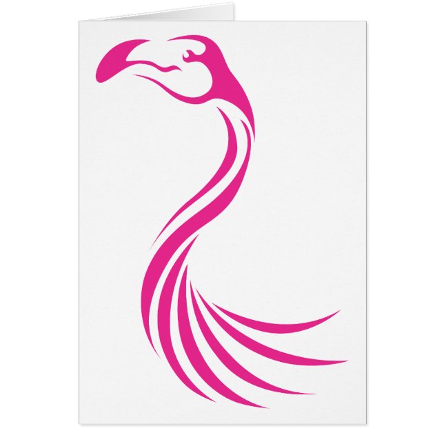 Greater Flamingo (Voorkant)