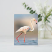 Greater Flamingo Briefkaart (Staand voorkant)