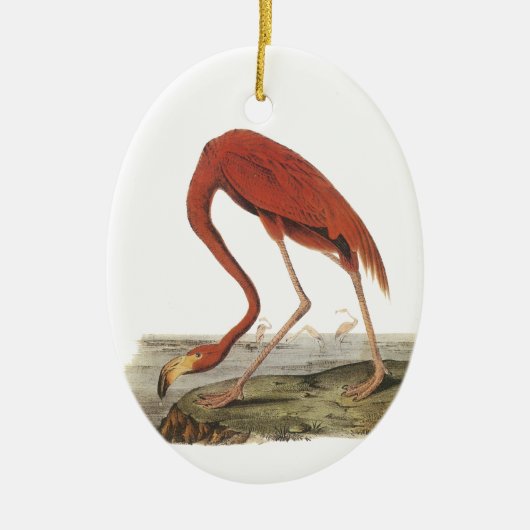 Greater Flamingo, John Audubon Keramisch Ornament (Voorkant)