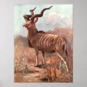 Greater Kudu Antelope van Swan, Wilde Dier Poster (Voorkant)