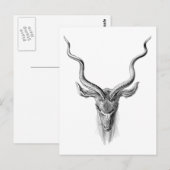 Greater Kudu Briefkaart (Voorkant / Achterkant)