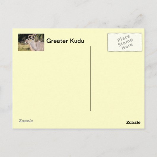 Greater Kudu Briefkaart (Achterkant)