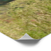 Greater Kudu Poster (Hoek)