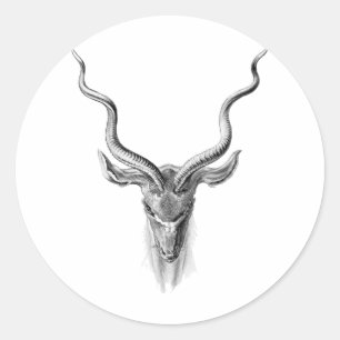 Greater Kudu Ronde Sticker