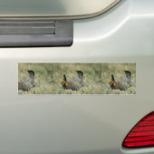 Greater prairie-kip bumpersticker (Op auto)