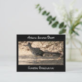 Greater Roadrunner Briefkaart (Staand voorkant)