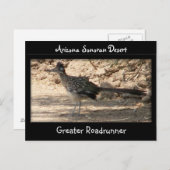 Greater Roadrunner Briefkaart (Voorkant / Achterkant)