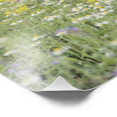 Greater Roadrunner, Geococcyx californianus Foto Afdruk (Hoek)