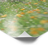 Greater Roadrunner, Geococcyx Foto Afdruk (Hoek)