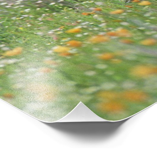 Greater Roadrunner, Geococcyx Foto Afdruk (Hoek)