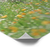 Greater Roadrunner, Geococcyx Poster (Hoek)