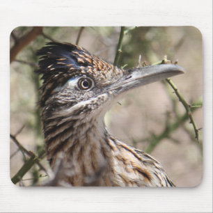 Greater Roadrunner Mousepad Muismat