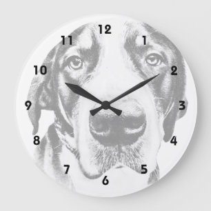 Greater Swiss Mountain Dog Grote Klok