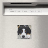 Greater Swiss Mountain Dog Magnet (Insitu (Vaatwasser))