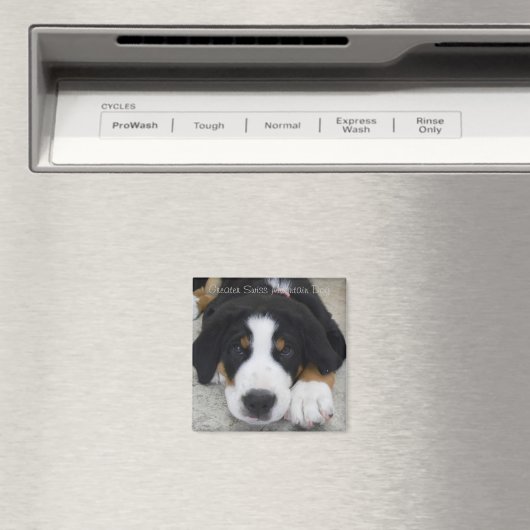 Greater Swiss Mountain Dog Magnet (Insitu (Vaatwasser))