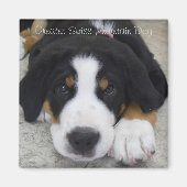 Greater Swiss Mountain Dog Magnet (Voorkant)