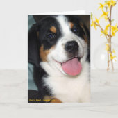 Greater Swiss Mountain Dog Puppy Kaart (Gele Bloem)