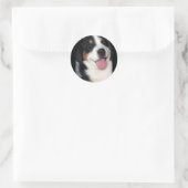 Greater Swiss Mountain Dog Puppy Ronde Sticker (Tas)