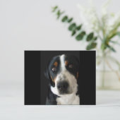 Greater Swiss Mountain Dog Sad Eyes Briefkaart (Staand voorkant)