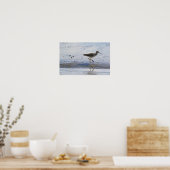 Greater Yellow Legs Bird Poster (Keuken)