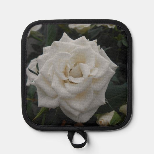 Greatorex Pannenlap (Voorkant)