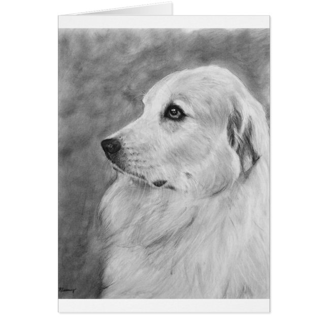 GreatPyreneese.jpg (Voorkant)