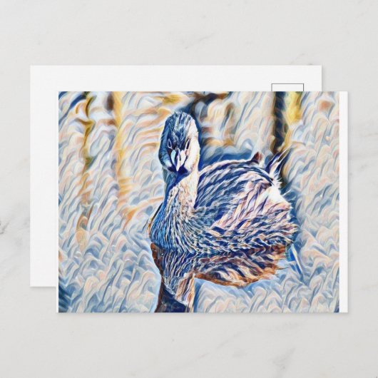 Grebe Briefkaart (Voorkant / Achterkant)