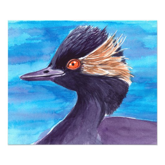 Grebe Foto Afdruk (Voorkant)