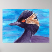 Grebe Poster (Voorkant)
