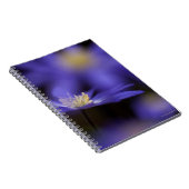 Grecian Windflower, hertenresistente blauwe bloem Notitieboek (Rechterzijde)