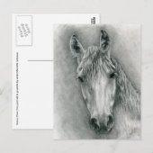 Greco Briefkaart (Voorkant / Achterkant)