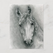 Greco Briefkaart (Voorkant)