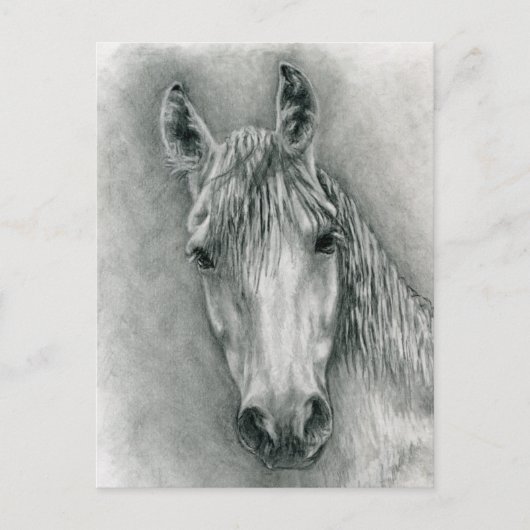 Greco Briefkaart (Voorkant)