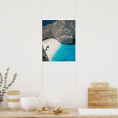 GREECE, Ionian Islands, ZAKYNTHOS, SHIPWRECK Poster (Keuken)