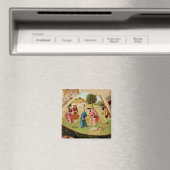 Greed Magneet (Insitu (Vaatwasser))