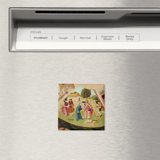 Greed Magneet (Insitu (Vaatwasser))