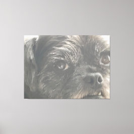 Greedo Watches Canvas Afdruk