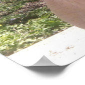 Greedo's moeder Ken Gage Fotografie Hond Poster (Hoek)