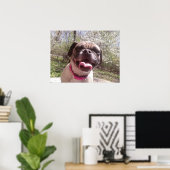 Greedo's moeder Ken Gage Fotografie Hond Poster (Thuiskantoor)