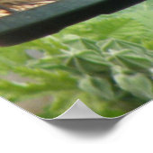 Greedy Greenfinch Print (Hoek)