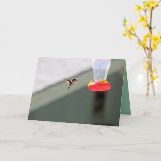 Greedy little kaart (Gele Bloem)