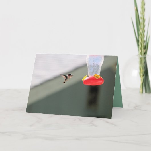 Greedy little kaart (Voorkant)